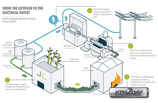 sugarcane-to-electricity